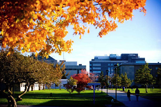 at Buffalo-SUNY - Graduate School Search | and Canada |